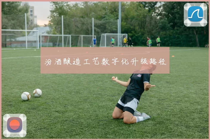 汾酒酿造工艺数字化升级路径