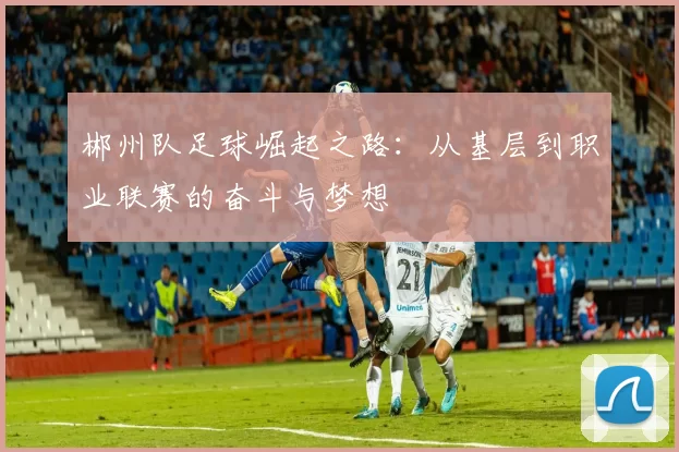 郴州队足球崛起之路：从基层到职业联赛的奋斗与梦想