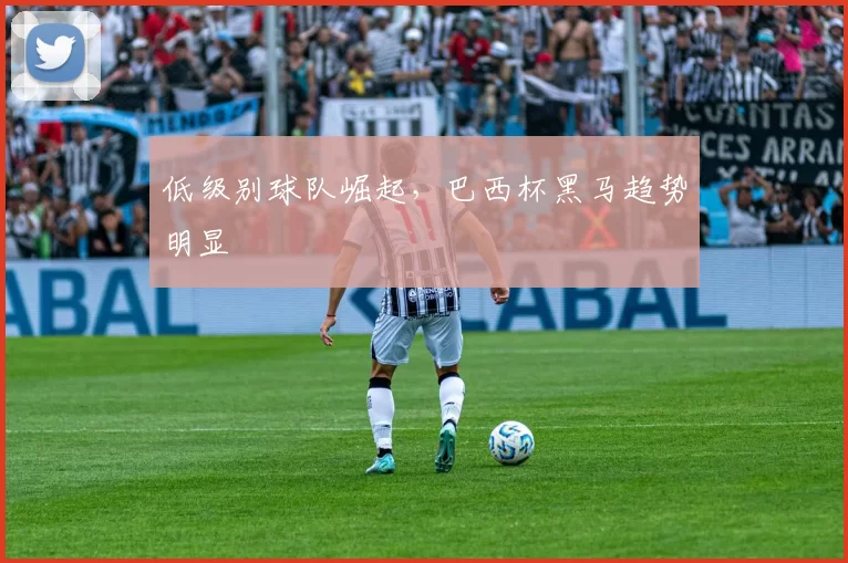 低级别球队崛起，巴西杯黑马趋势明显
