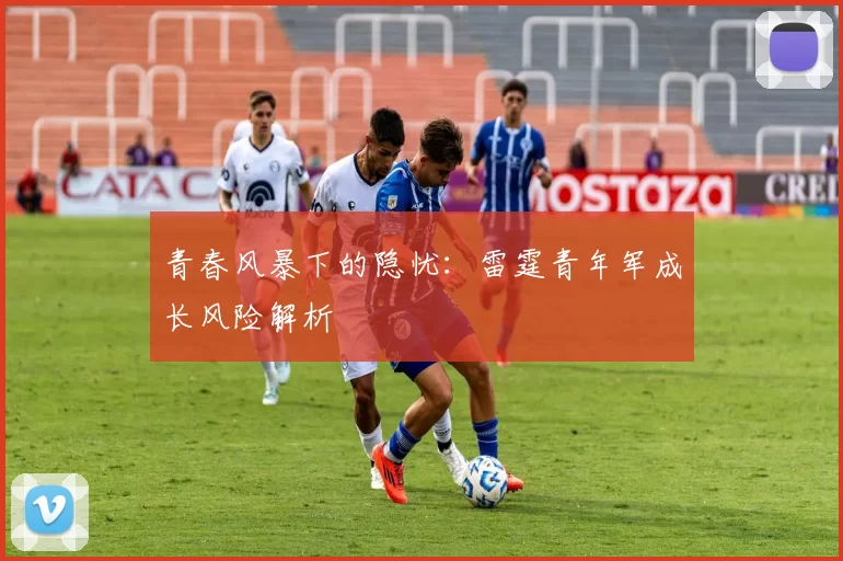 青春风暴下的隐忧：雷霆青年军成长风险解析